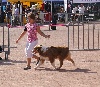  - meilleur puppy à chatel guyon