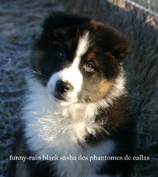 Funny black rain sasha des Phantomes des Callas