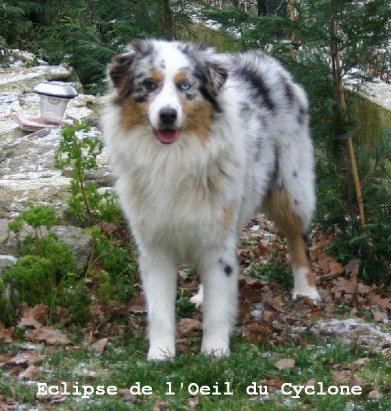 Eclipse de l'Oeil du Cyclone