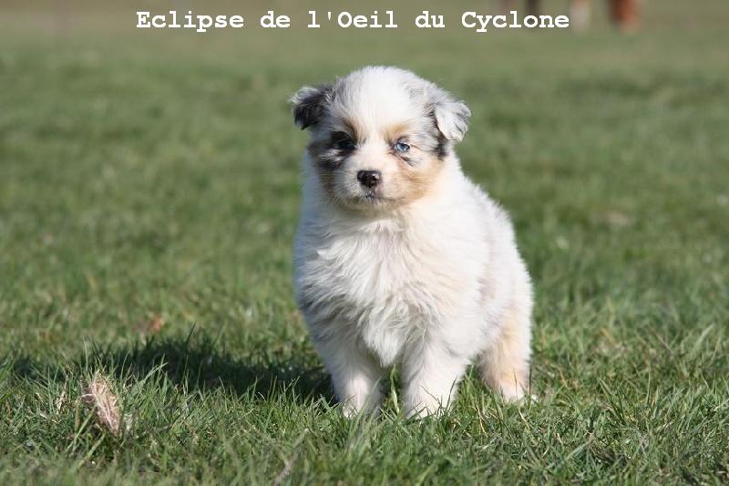 Eclipse de l'Oeil du Cyclone