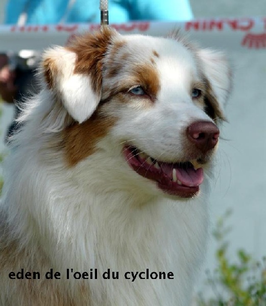 Eden de l'Oeil du Cyclone