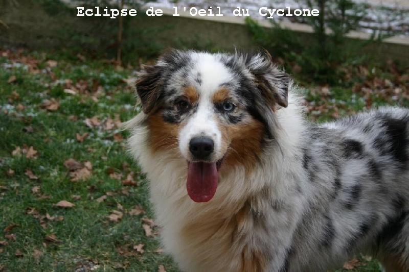 Eclipse de l'Oeil du Cyclone