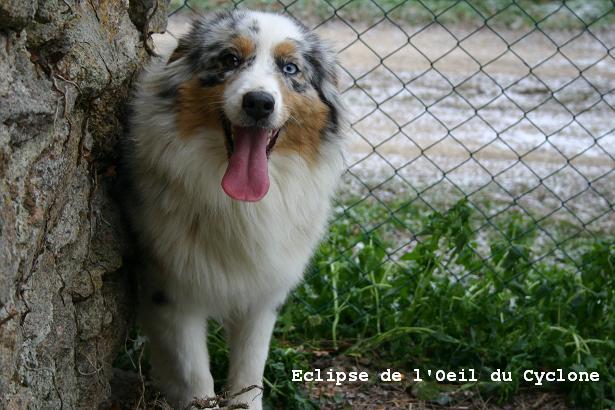 Eclipse de l'Oeil du Cyclone