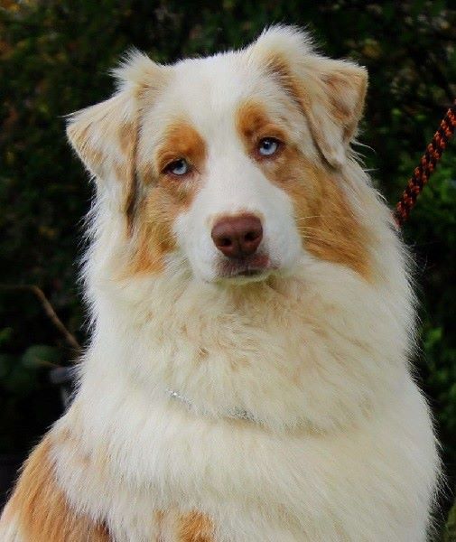 Just divine de l'Oeil du Cyclone